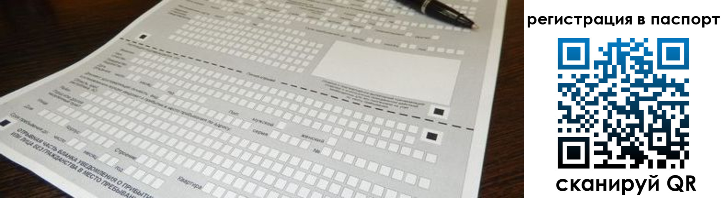 где прописаться в Елизово